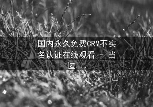 国内永久免费CRM不实名认证在线观看 - 当匿名成为致命诱惑,你敢尝试吗?