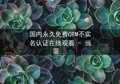 国内永久免费CRM不实名认证在线观看 - 当匿名交易遇上致命陷阱