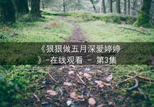 《狠狠做五月深爱婷婷》-在线观看 - 第3集