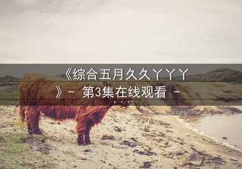 《综合五月久久丫丫丫》- 第3集在线观看 - 一场跨越时空的终极对决