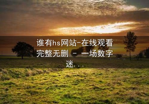 谁有hs网站-在线观看完整无删 - 一场数字迷宫的致命追逐