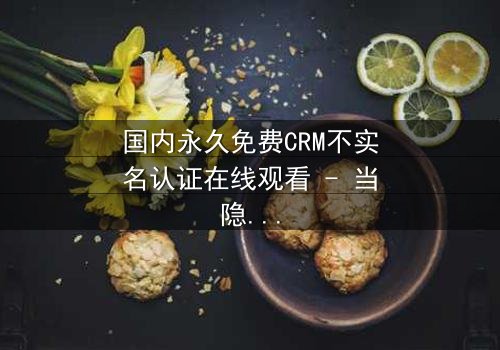国内永久免费CRM不实名认证在线观看 - 当隐私成为交易的筹码,你敢挑战吗?