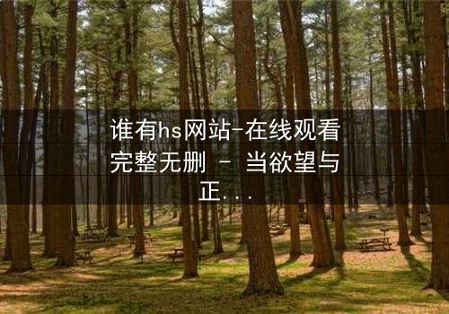 谁有hs网站-在线观看完整无删 - 当欲望与正义在黑暗中交锋