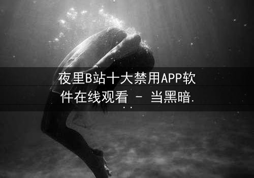 夜里B站十大禁用APP软件在线观看 - 当黑暗APP解锁禁忌,你敢点开吗?