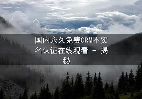 国内永久免费CRM不实名认证在线观看 - 揭秘企业数据背后的惊天秘密