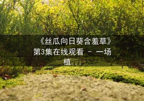 《丝瓜向日葵含羞草》第3集在线观看 - 一场植物隐喻下的情感风暴