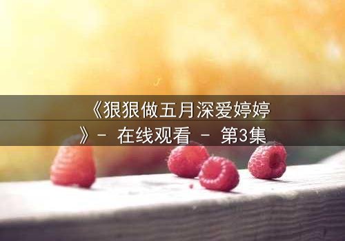 《狠狠做五月深爱婷婷》- 在线观看 - 第3集