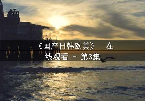《国产日韩欧美》- 在线观看 - 第3集