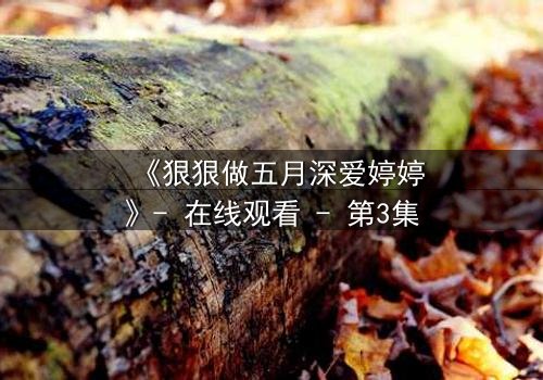 《狠狠做五月深爱婷婷》- 在线观看 - 第3集