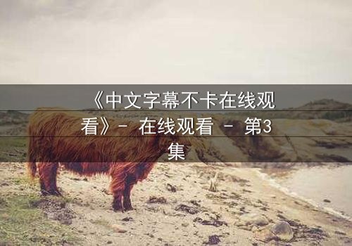 《中文字幕不卡在线观看》- 在线观看 - 第3集