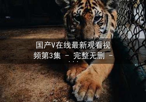 国产V在线最新观看视频第3集 - 完整无删 - 当虚拟与现实交织,谁才是真正的赢家?