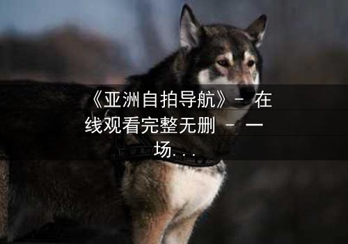 《亚洲自拍导航》- 在线观看完整无删 - 一场数字时代的生存游戏