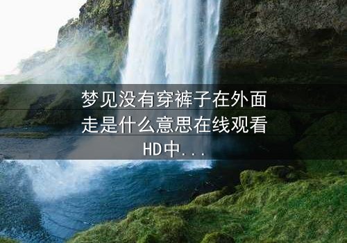 梦见没有穿裤子在外面走是什么意思在线观看HD中字 - 揭秘梦境背后的惊悚真相